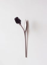 Tulipa-Black