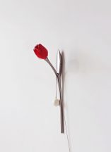 Tulipa-Red